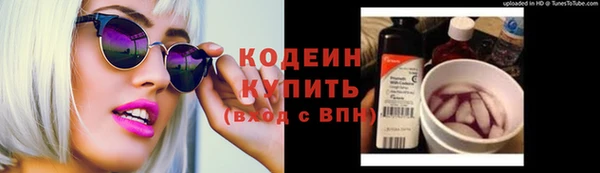 шишки Аркадак