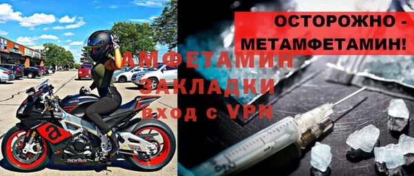 шишки Аркадак