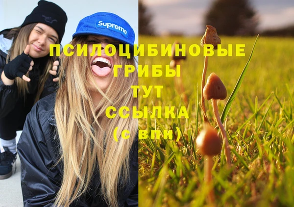 шишки Аркадак