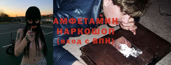 шишки Аркадак