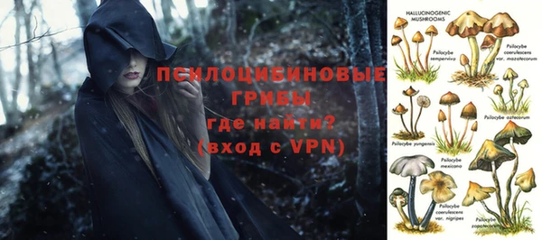 шишки Аркадак