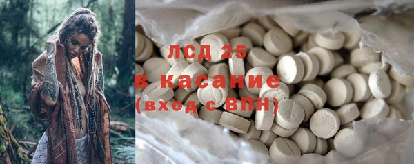 шишки Аркадак