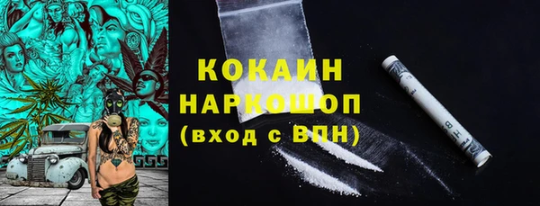 шишки Аркадак