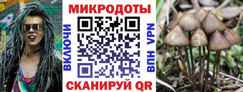 Галлюциногенные грибы Cubensis  Купить где  Белебей 